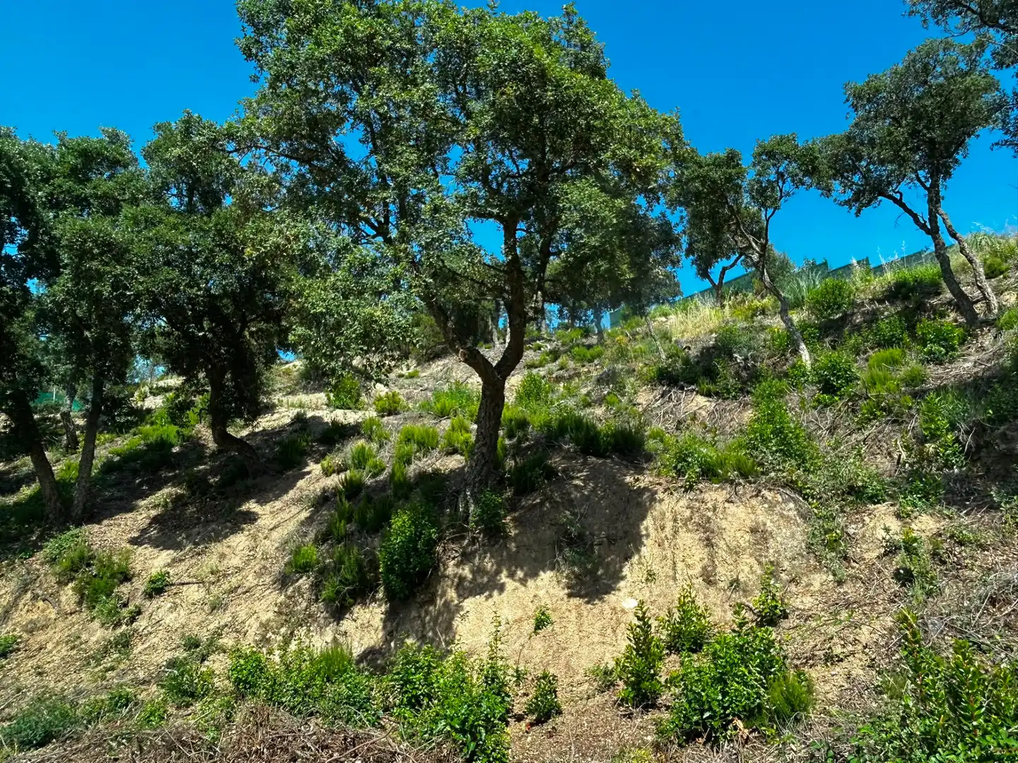 Terreno residencial en venta en Lloret Residencial - Montlloret, imagen 7