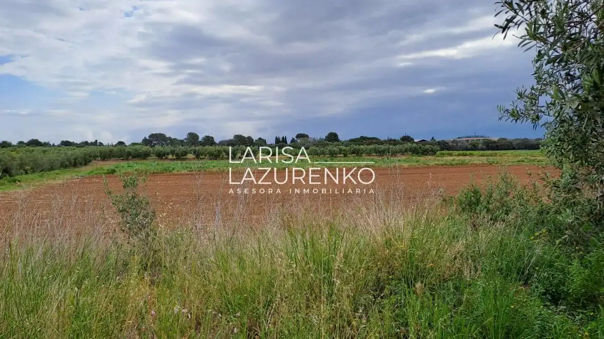 Finca rústica en venda en Vinyols i els Arcs