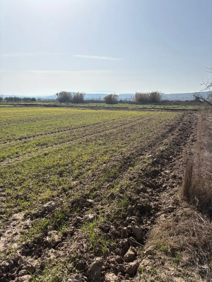 Rural land for sale in Agoncillo, imagen 7