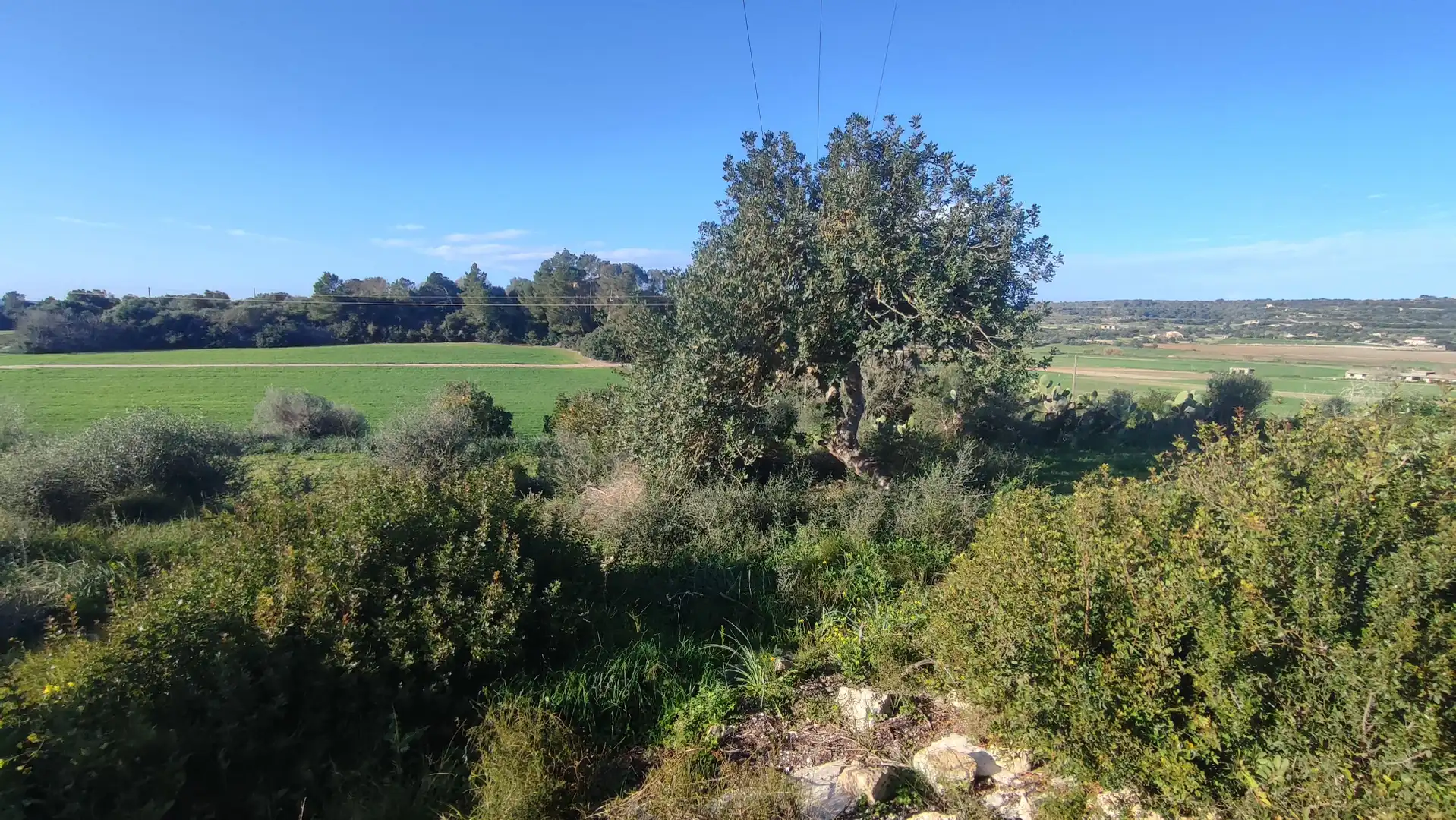 Rustikales Grundstück zum Verkauf in Vial Camino 1136, imagen 9