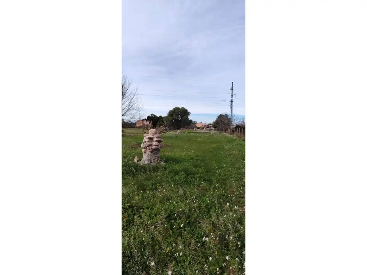 Terreny rústic en venda a Camino Donació, imagen 9
