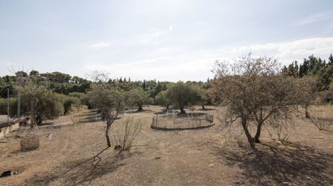 Fantástica parcela, imagen 2