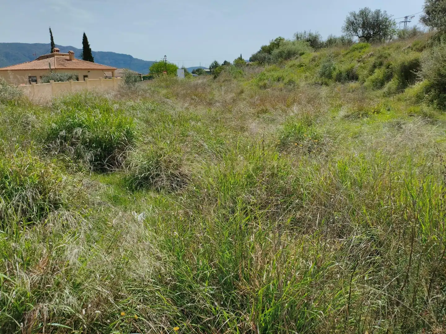 Terrain rustique à vendre à 46175 Calles, Spain, imagen 5