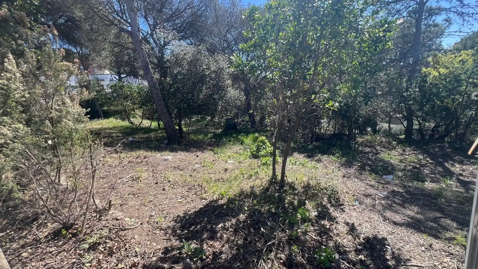Terreni e lotti in vendita a catalunya 60
