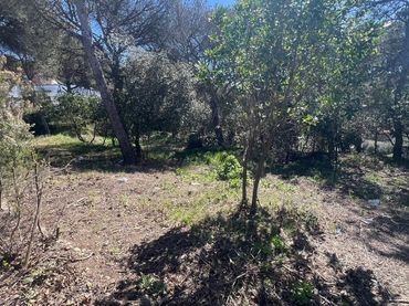 Terreni e lotti in vendita a catalunya 60