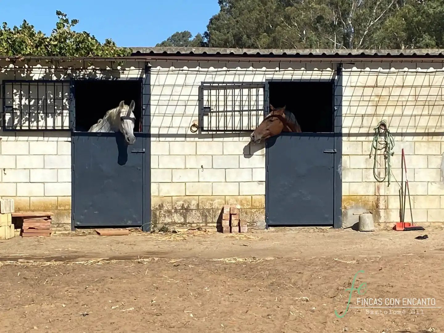Casa amb piscina en venda a Oromana, imagen 12