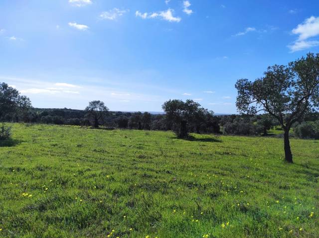 Terreno en Venta en Beas