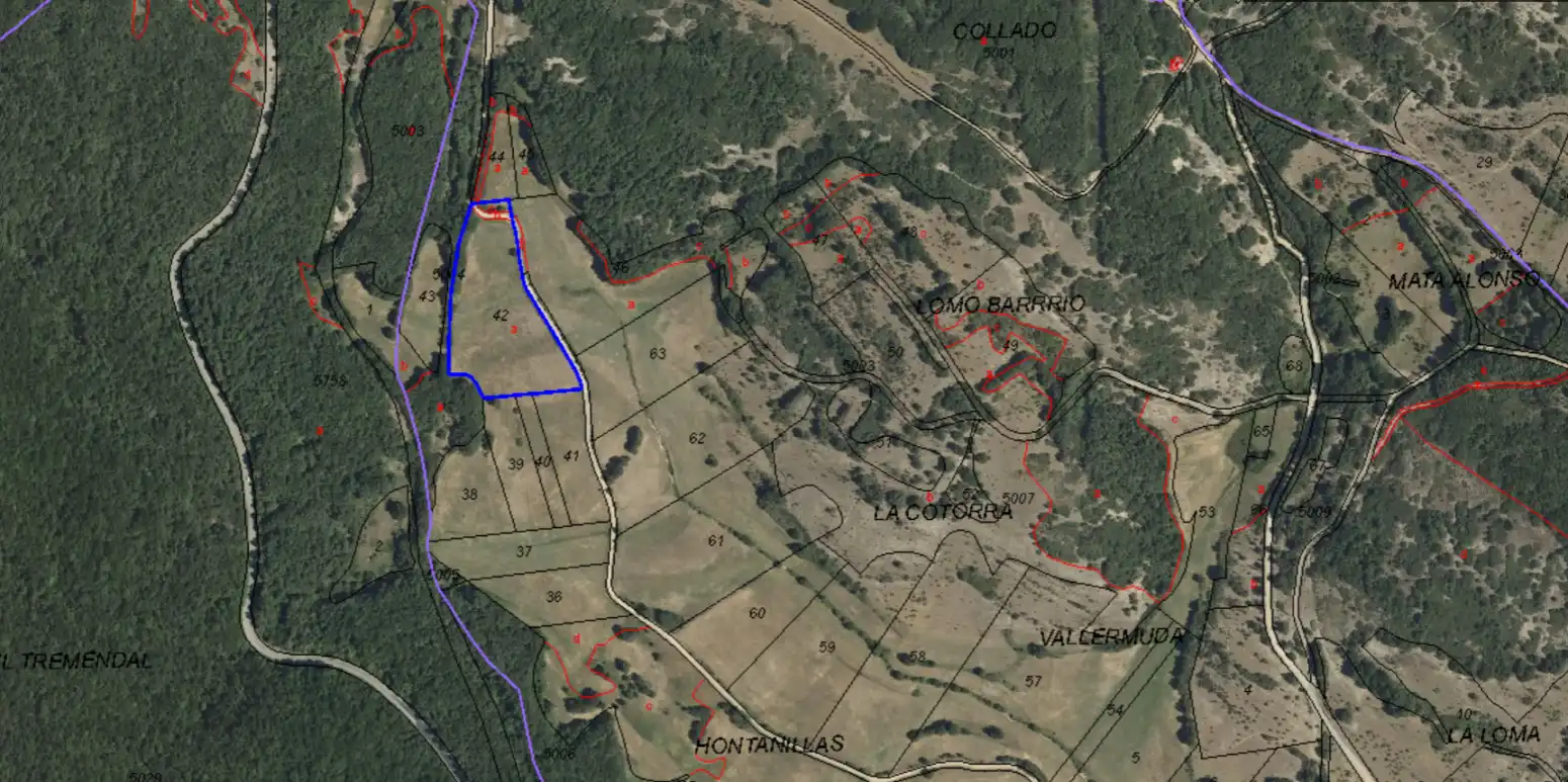 Terreno rustico in vendita a Rabanal de Los Caballeros - Pedanía de Rabanal de los caballeros, imagen 2