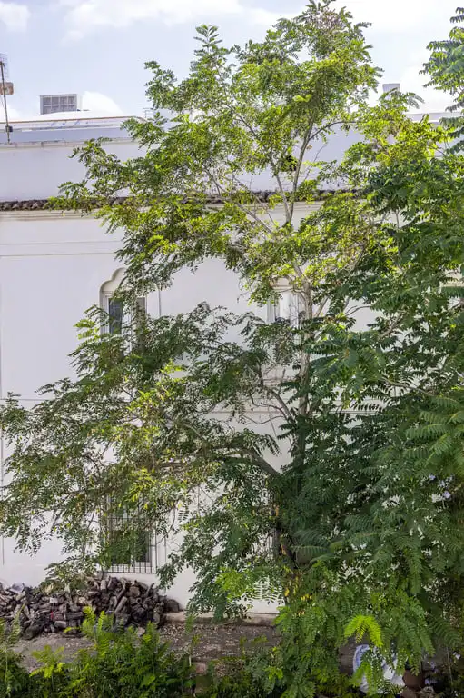 Exterior view of Apartments for rent in Jávea / Xàbia  with Air Conditioner, Storage room and Sauna