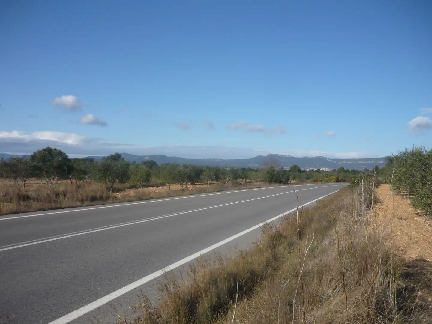 Exterior view of Land for sale in Vila-rodona