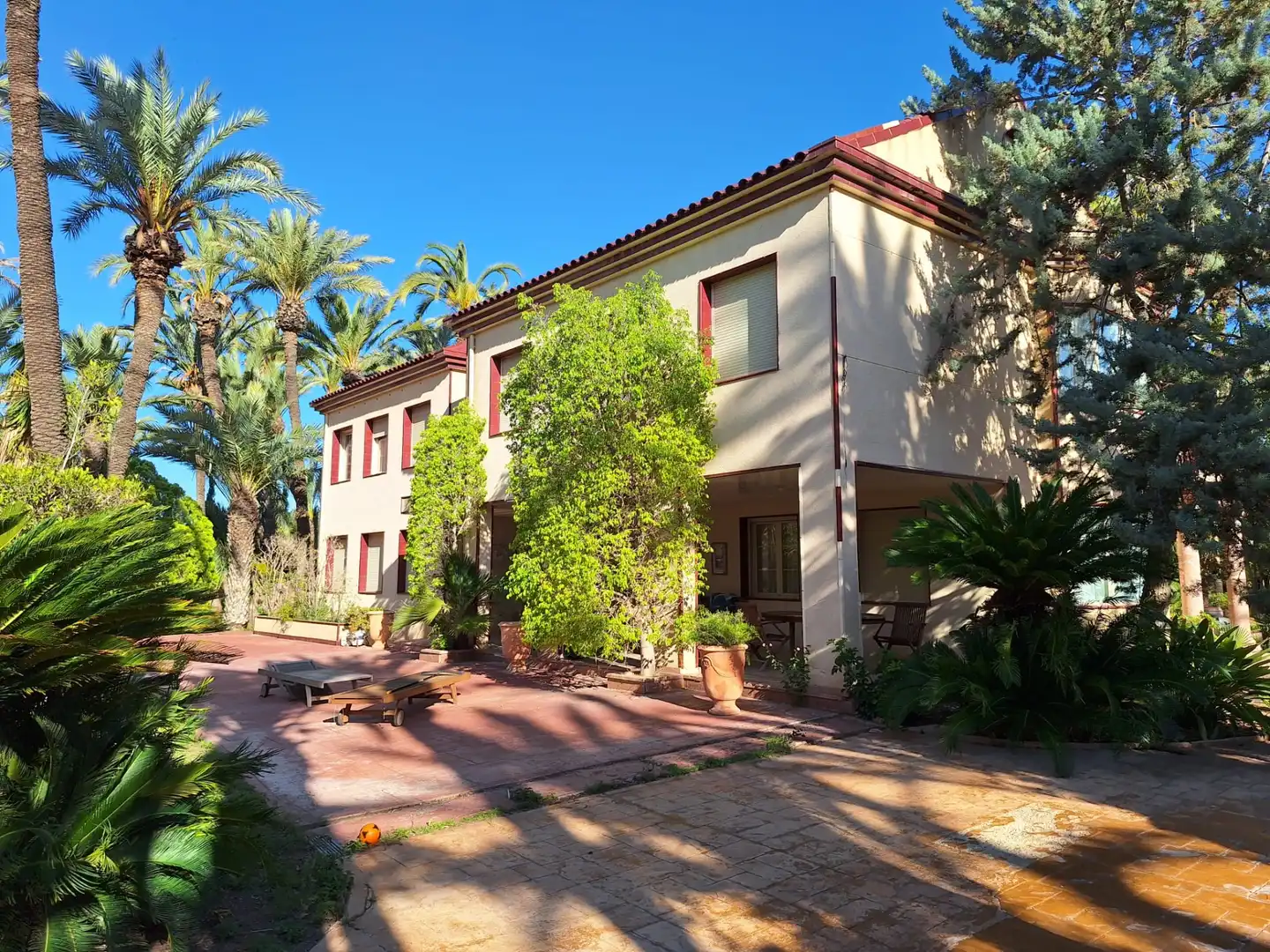 Vista exterior de Casa o chalet en venta en Elche / Elx