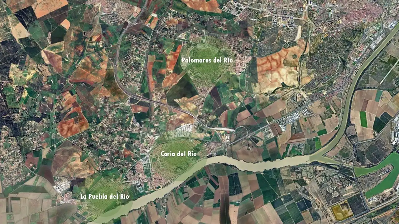 Büro zum Verkauf in Coria del Río