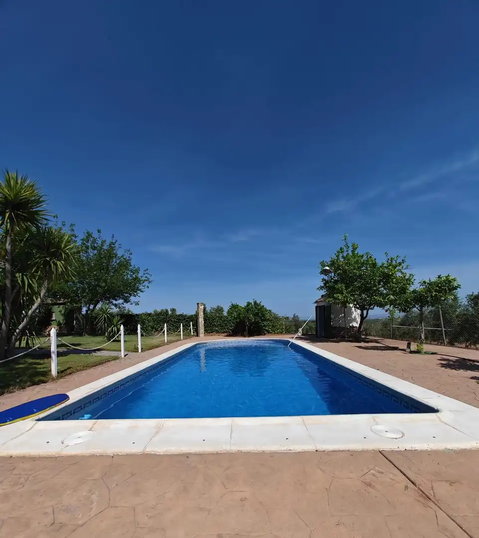 Piscina de Casa o chalet en venta en Guareña con Terraza y Piscina