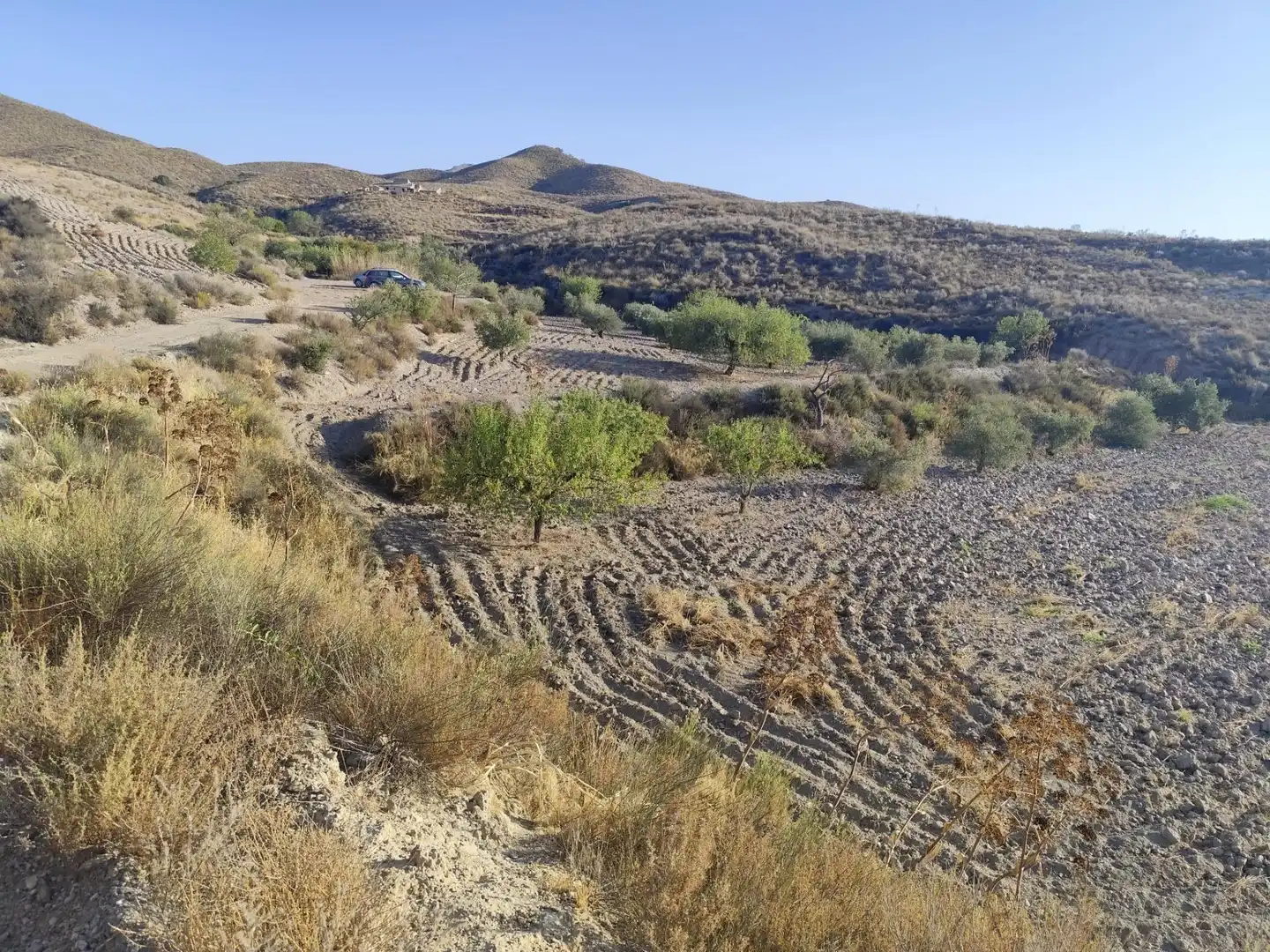 Terrains et parcelles à vendre à Pedanías Centro, imagen 12