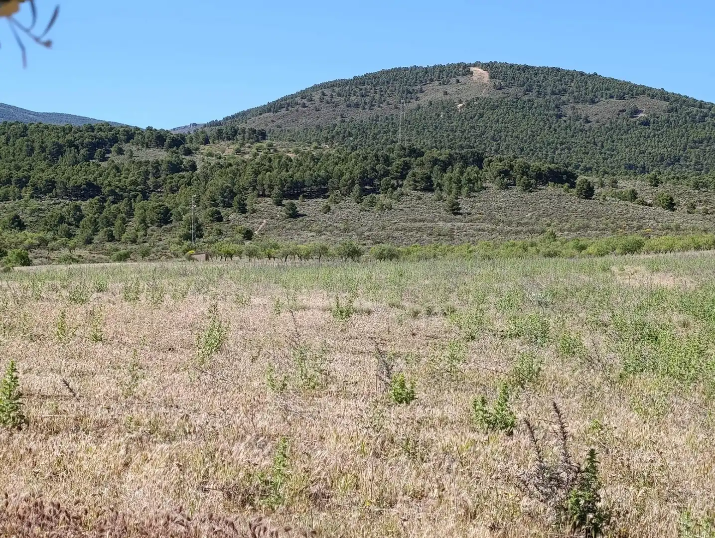 Rural land for sale in Laujar de Andarax, imagen 28