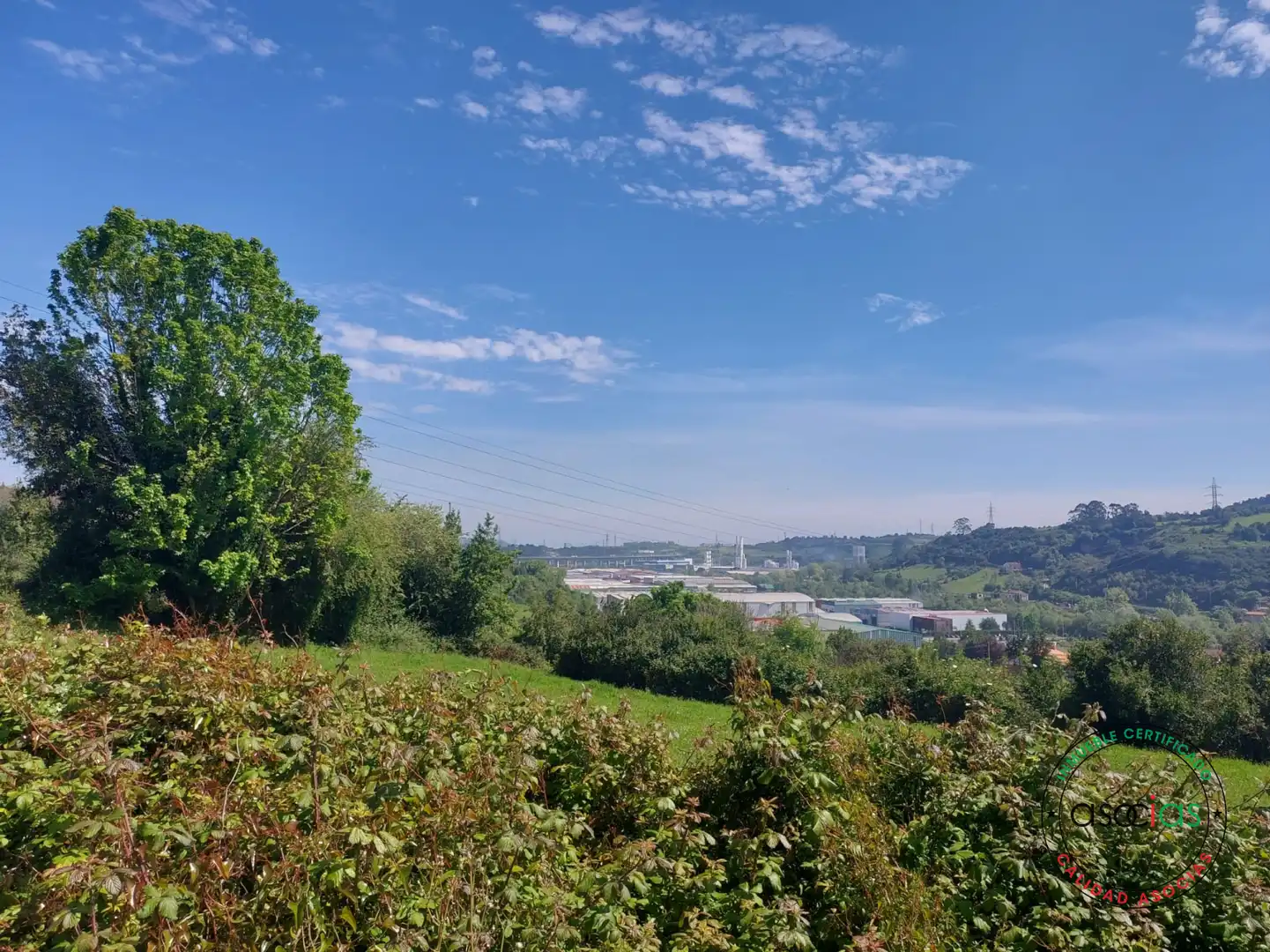 Terreno rustico in vendita a Gijón - Camin de la Cantera, imagen 6