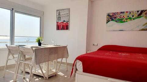 Photo 3 of Study to rent in Albufereta, Alicante