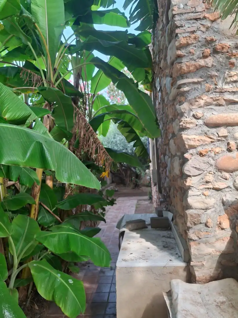 Jardín de Finca rústica en venta en Burriana / Borriana con Jardín privado, Terraza y Alarma