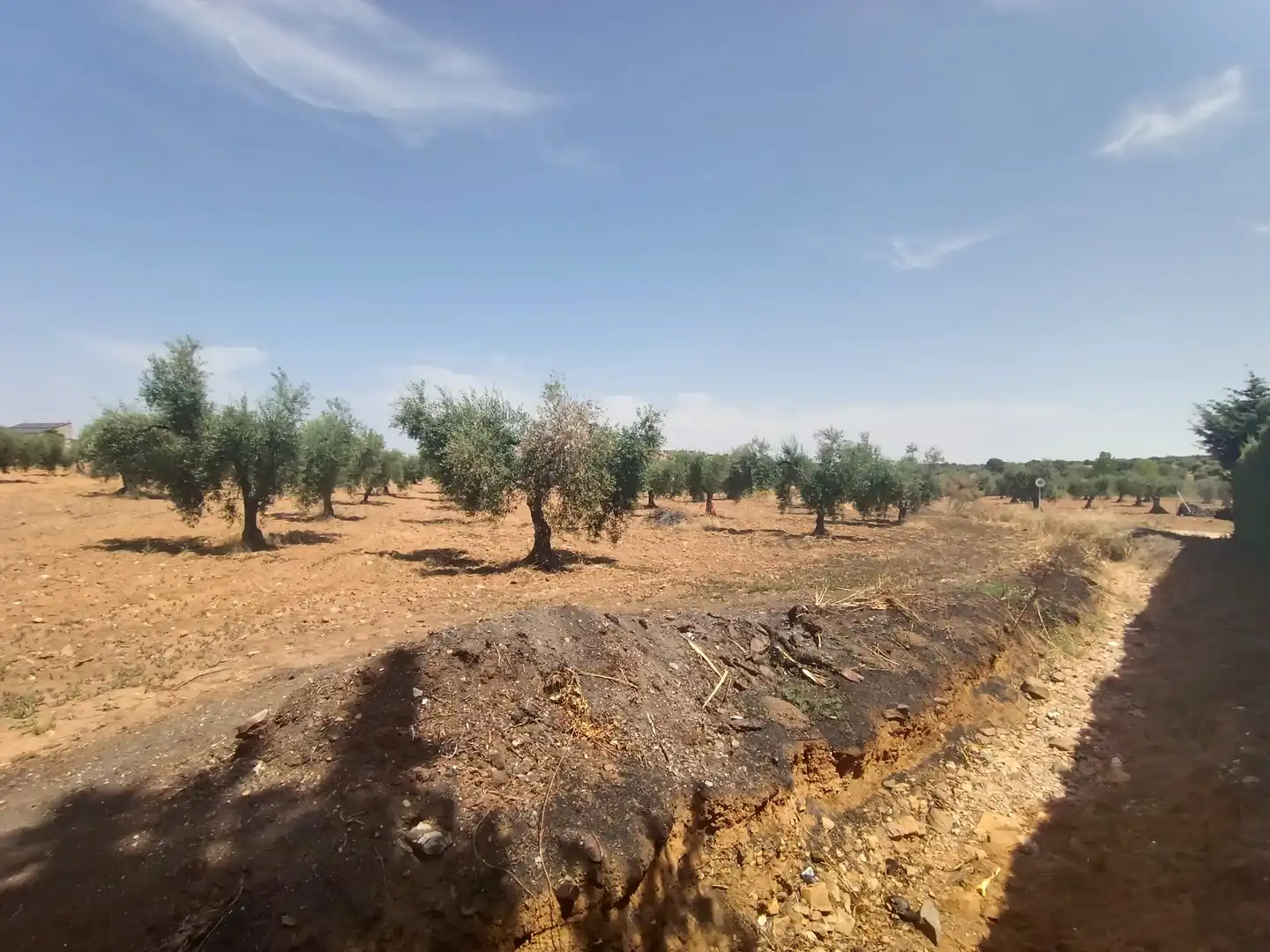 Finca rústica en venda a Cristina