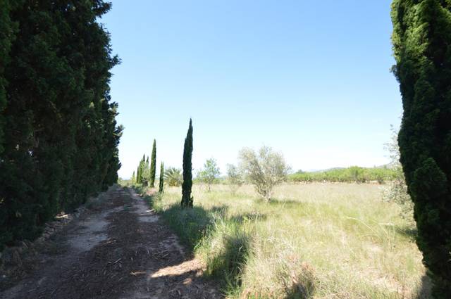 Terreno en Venta en Carrer Malentivet en Alcossebre