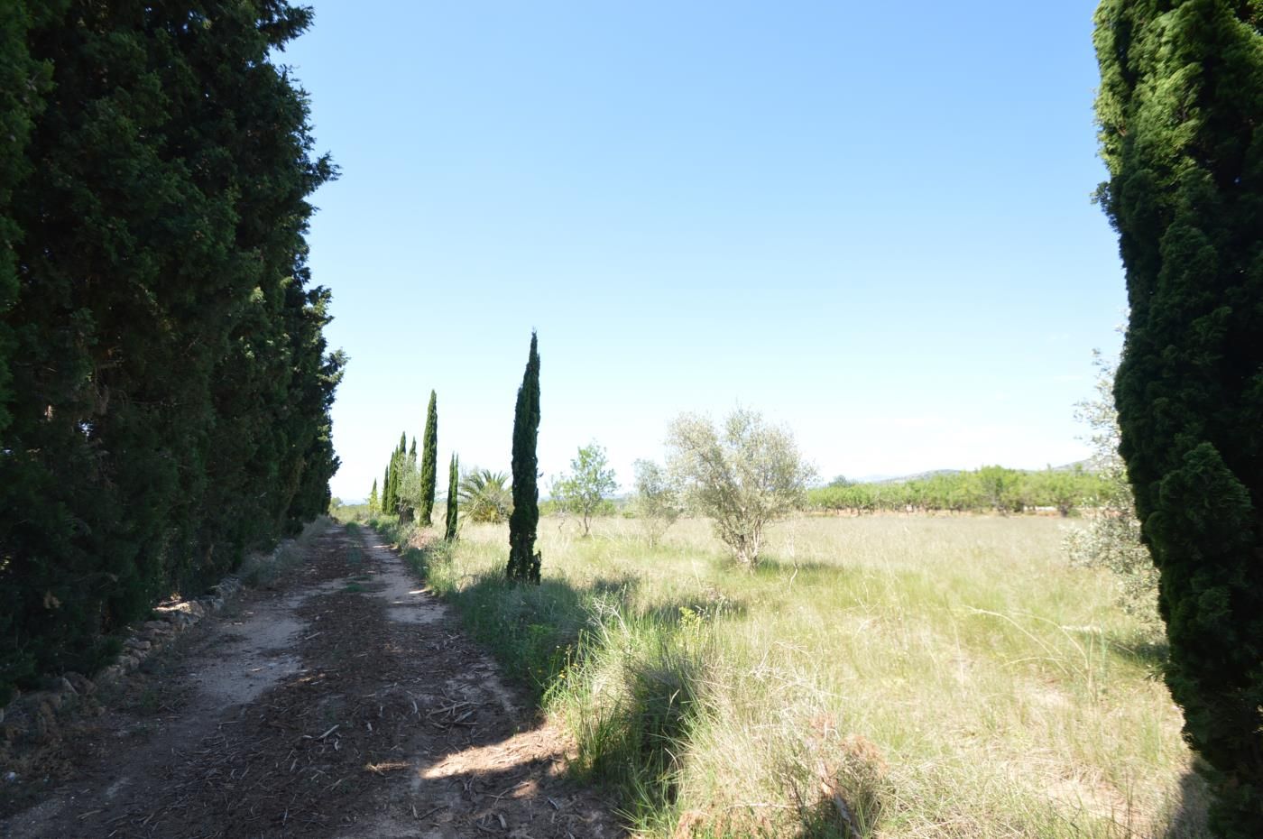 Land for sale in Alcalà de Xivert