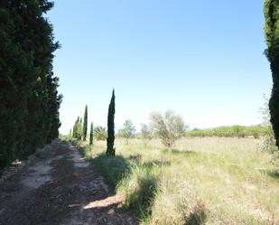 Land for sale in Alcalà de Xivert