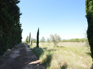 Terreno rústico en venta en Carrer Malentivet