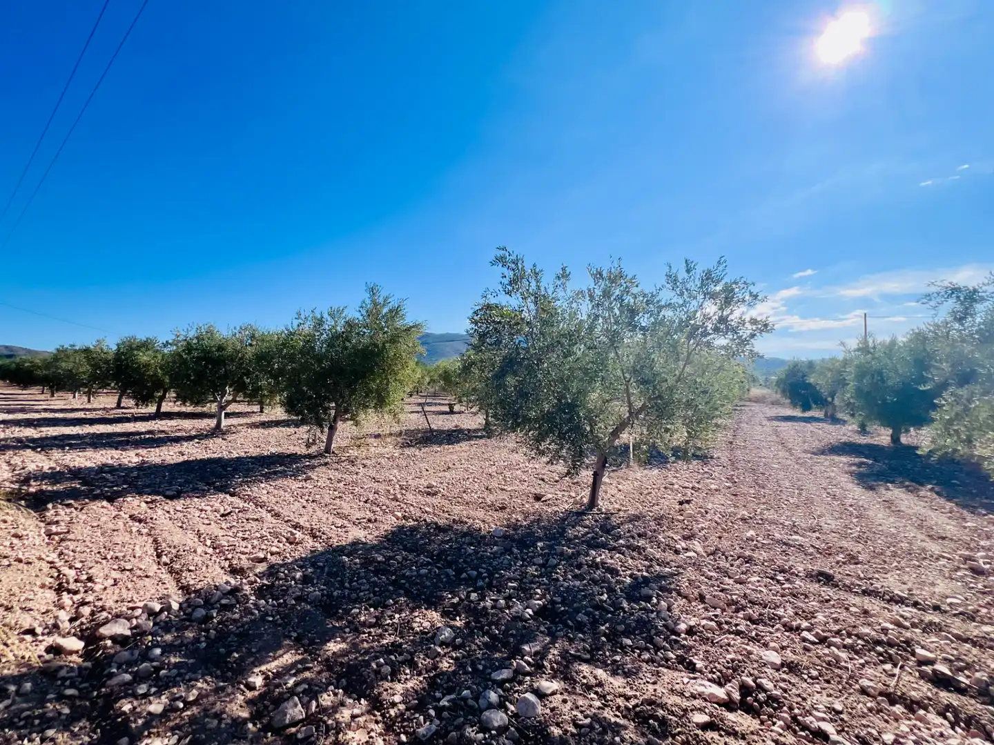 Country homes for sale in Castalla, Alicante