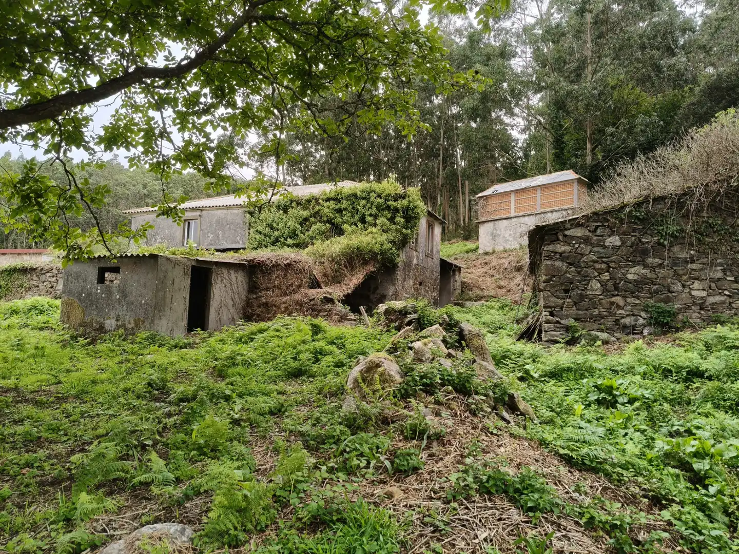 Country house with garden for sale in Cedeira, imagen 6