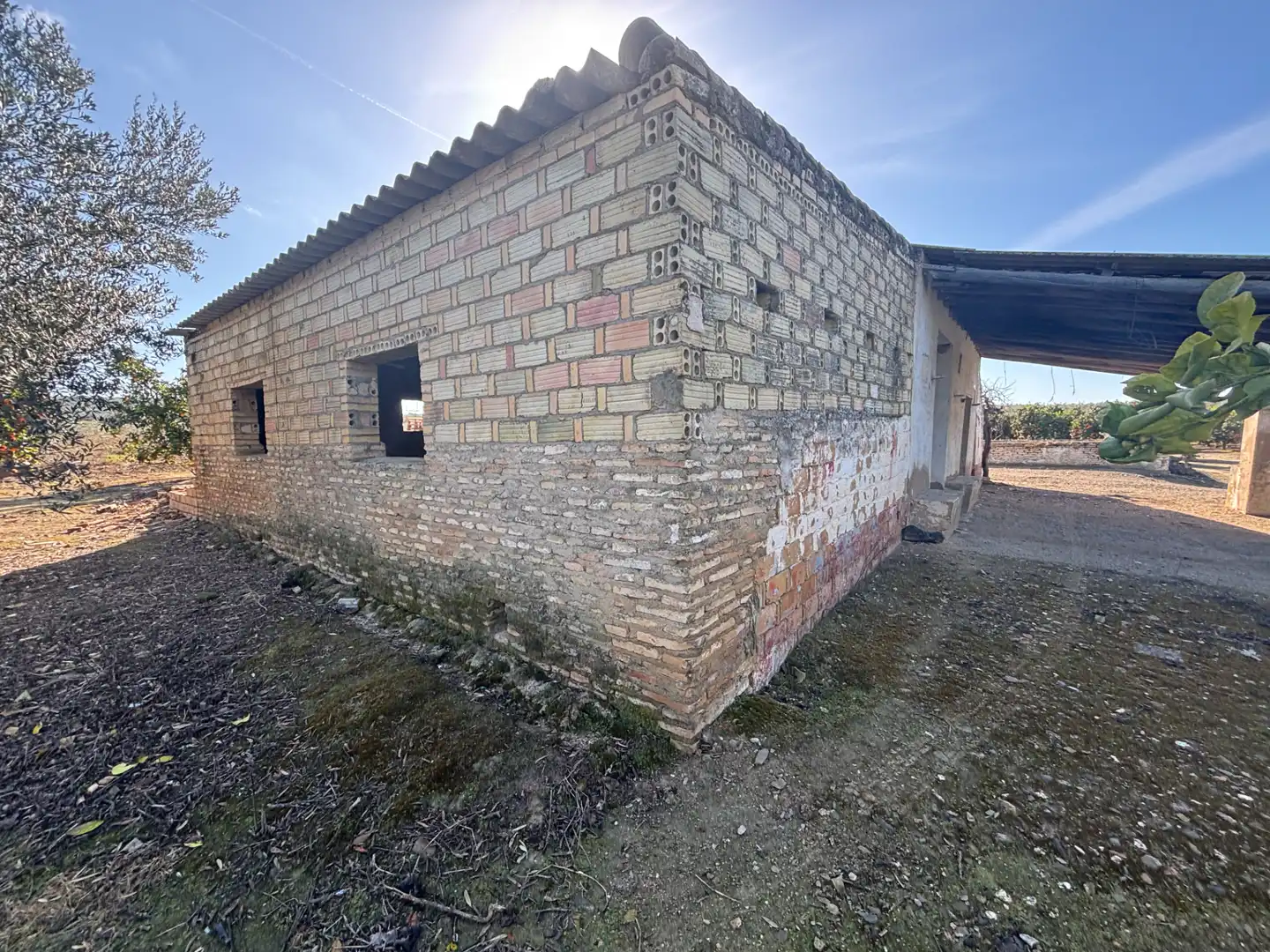 Exterior view of Land for sale in Sanlúcar la Mayor