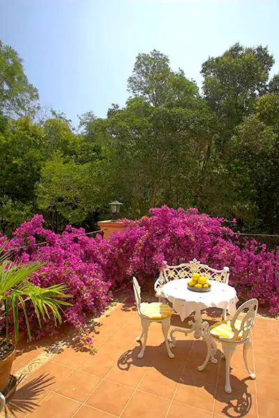 Villa avec jardin à vendre à Alcanar, imagen 22
