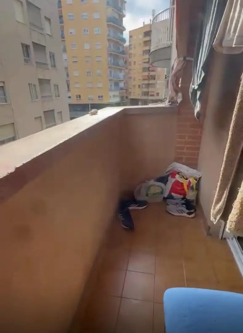 Terrasse von Wohnungen zum Verkauf in Gandia