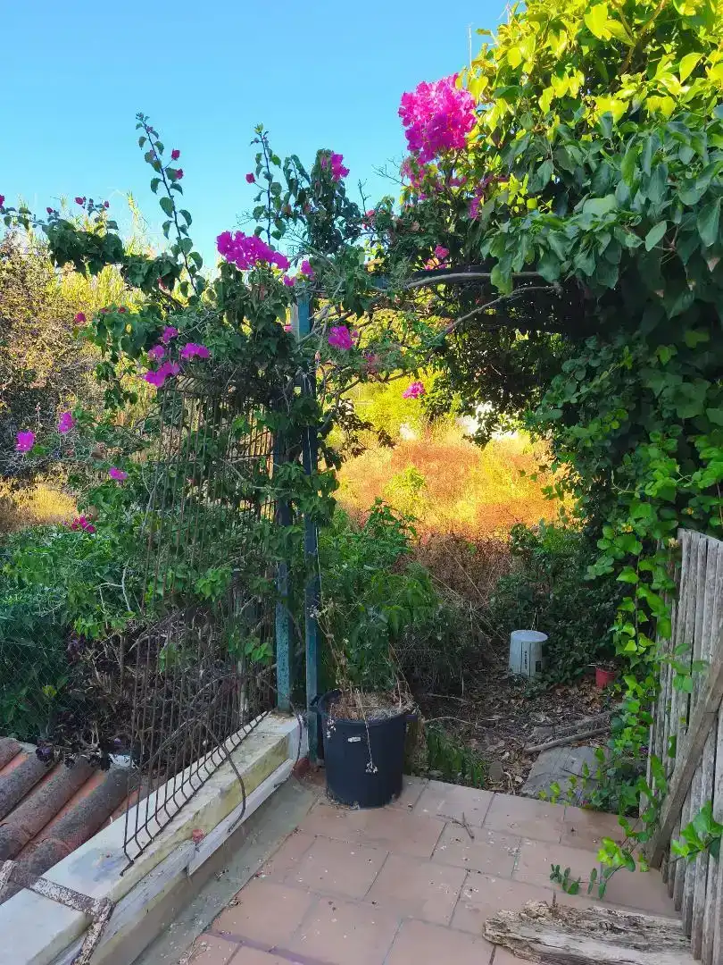 Jardín de Piso en venta en Es Mercadal con Jardín privado, Amueblado y Balcón