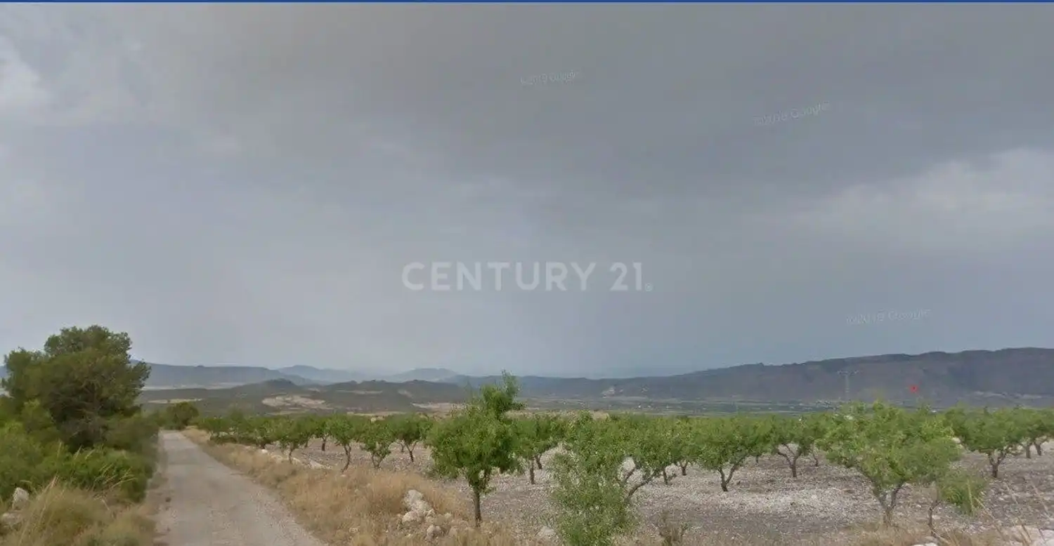 Terreny rústic en venda a Avenida del Palmar, imagen 9