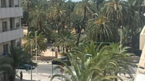 VENTA PISO ZONA JESUITINAS (ELCHE)