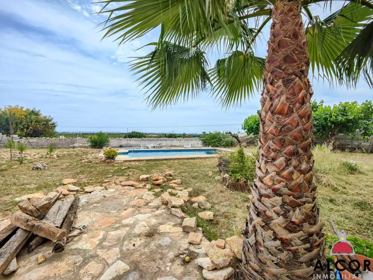 Jardí de Casa o xalet en venda en Vinaròs amb Jardí privat, Terrassa i Piscina