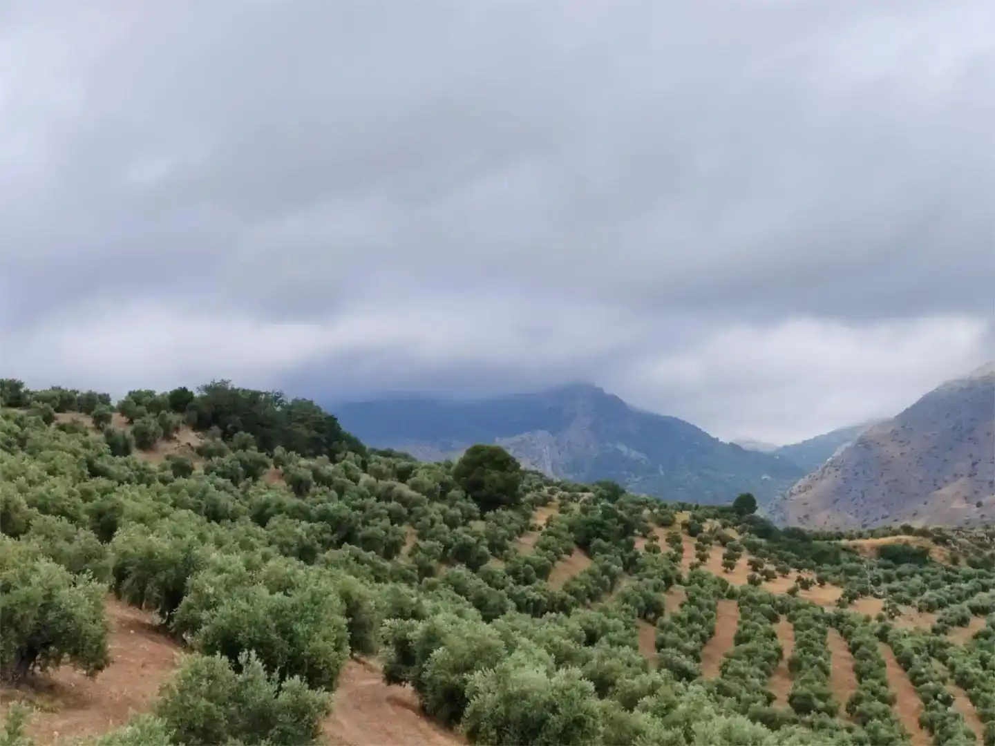 Terreno en venta en Jaén
