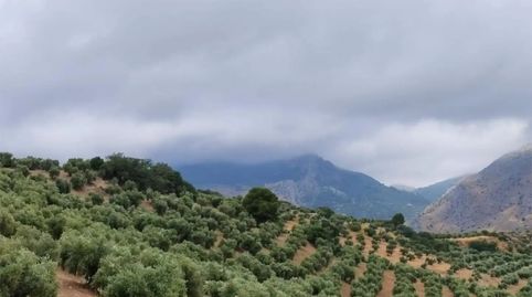 Foto 4 de Terreny en venda a Carretera de Otíñar, 29, Alcantarilla - La Glorieta, Jaén Capital