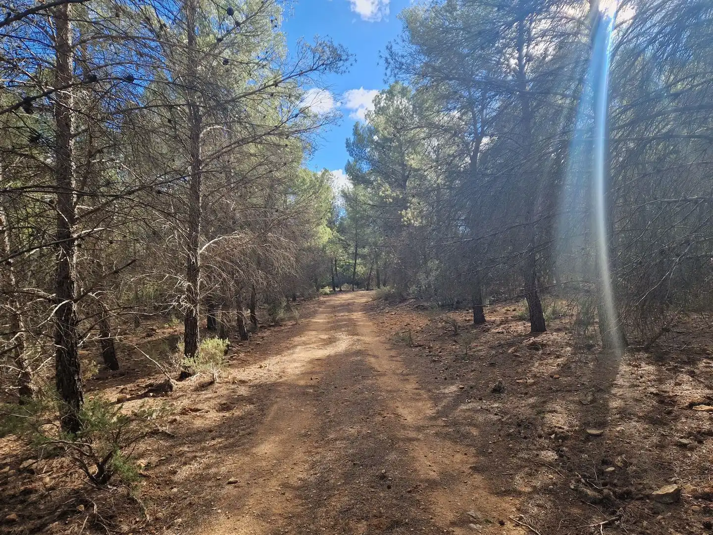 Rural land for sale in Pantano de Peñarroya 0, imagen 25