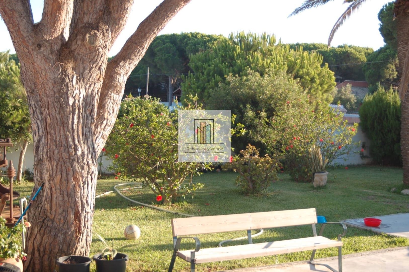 Jardí de Casa o xalet en venda en Chiclana de la Frontera amb Jardí privat, Terrassa i Piscina