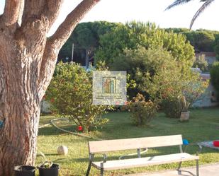 Jardí de Casa o xalet en venda en Chiclana de la Frontera amb Jardí privat, Terrassa i Piscina