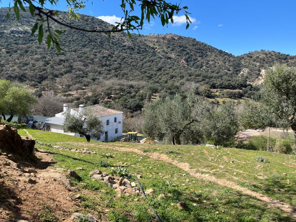 Exterior view of Country house for sale in Ronda