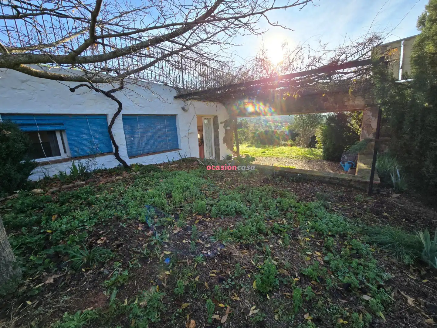 Jardín de Casa o chalet en venta en Santa Eufemia
