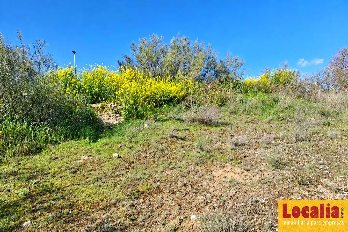 Terrenys i solars en venda a Calle Murallas de Lugo, imagen 9