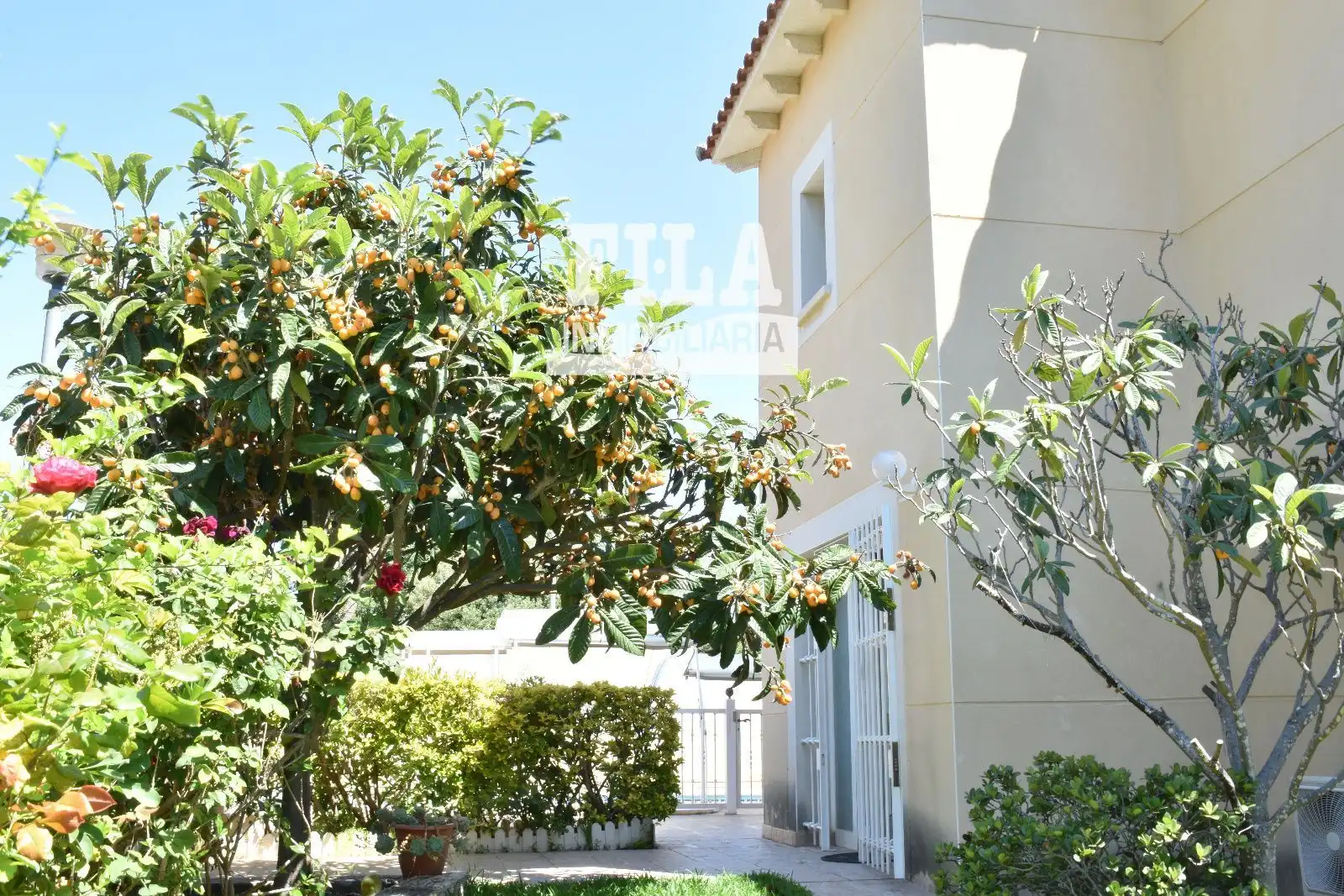 Villa avec piscine à vendre à DOCTOR ROUX, imagen 69