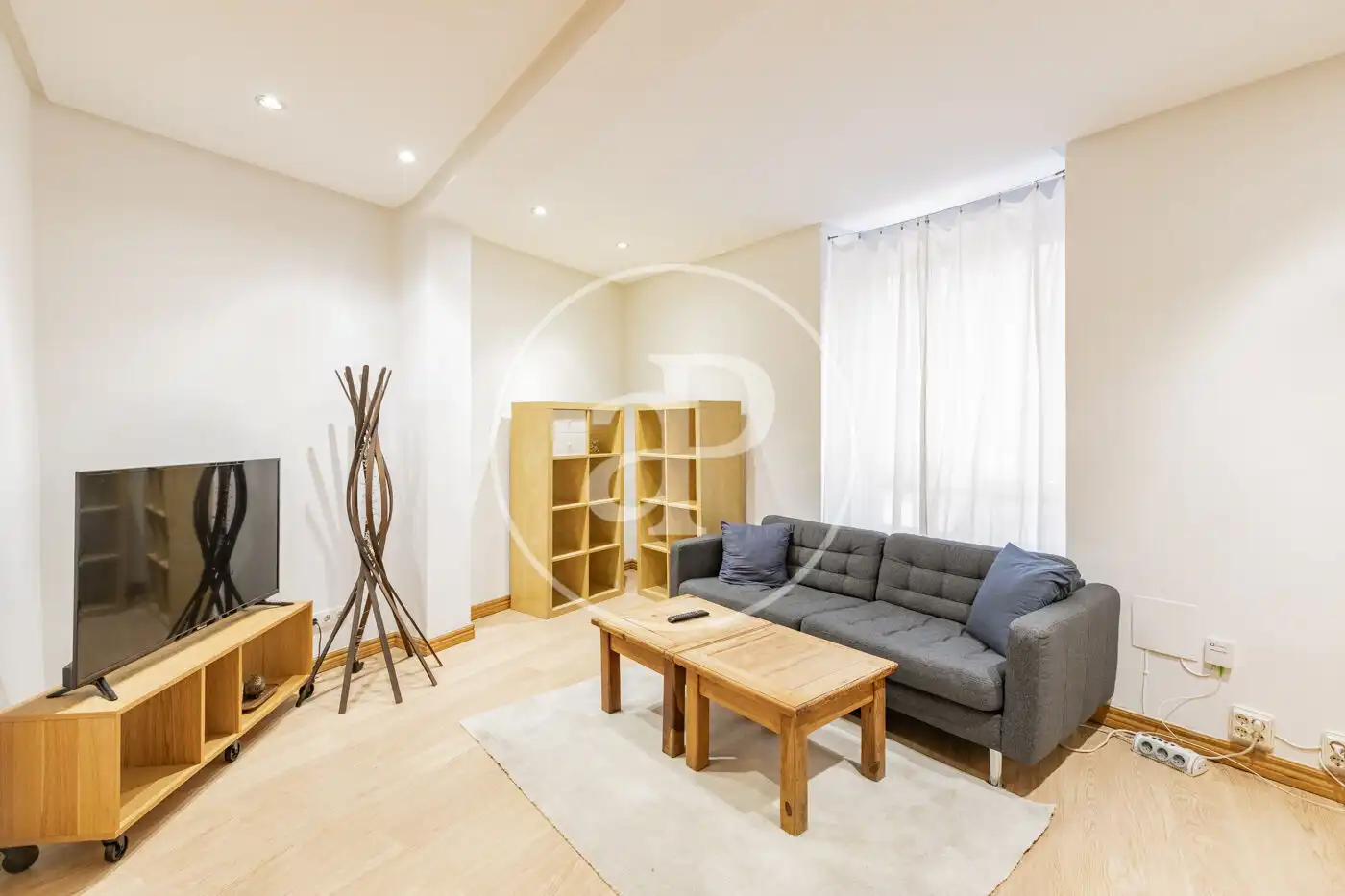 Sala de estar de Piso de alquiler en  Madrid Capital con Calefacción y Amueblado