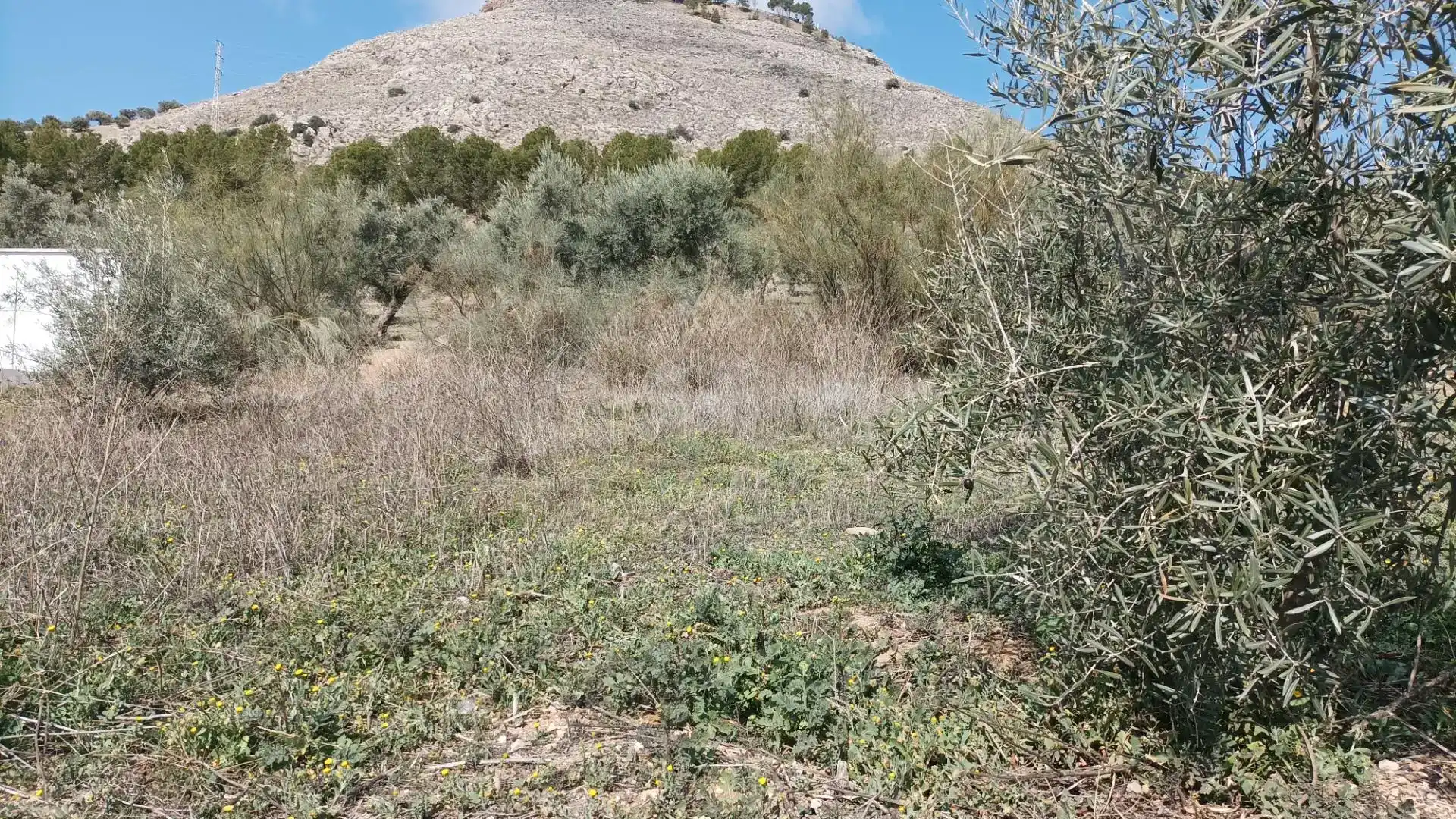 Finca rústica en venta en Atarfe
