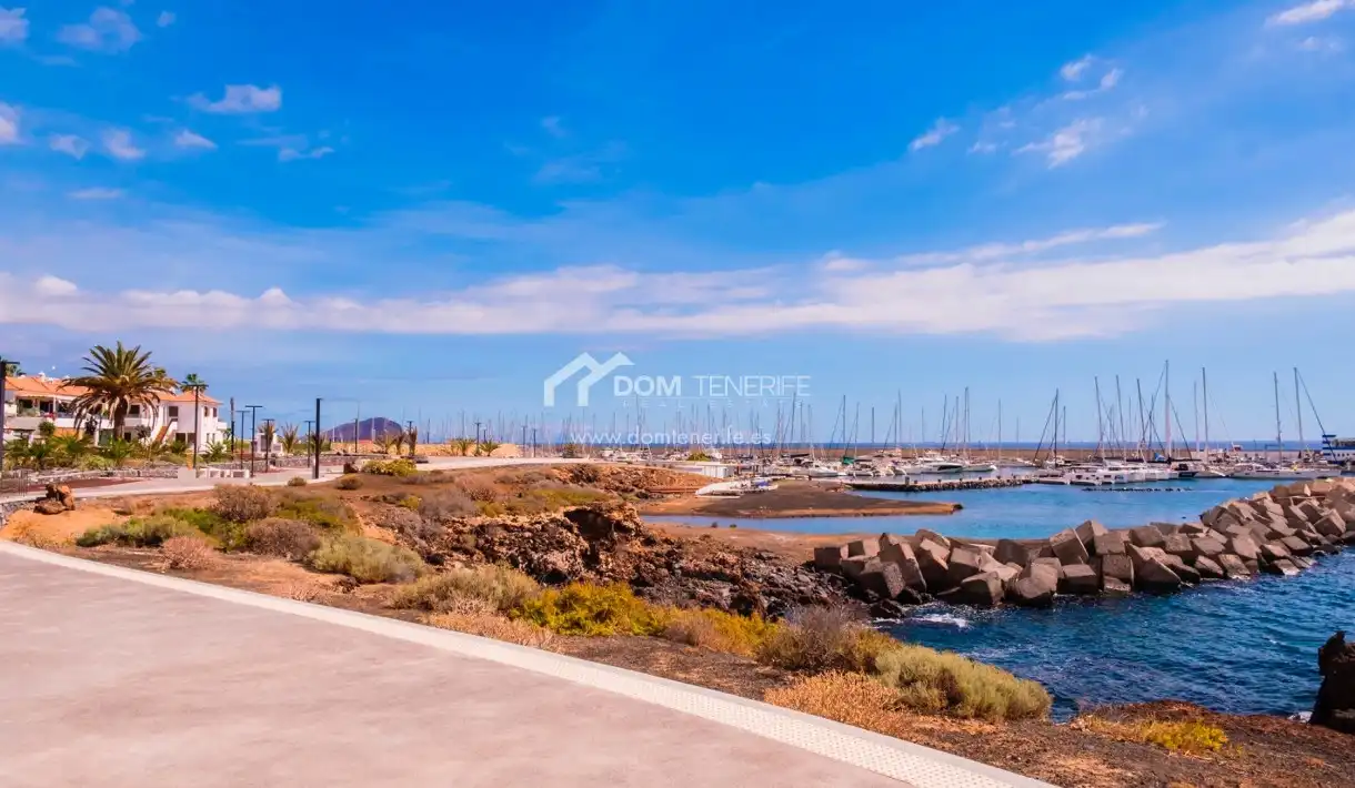 Vista exterior de Casa o chalet en venta en San Miguel de Abona con Jardín privado, Terraza y Trastero