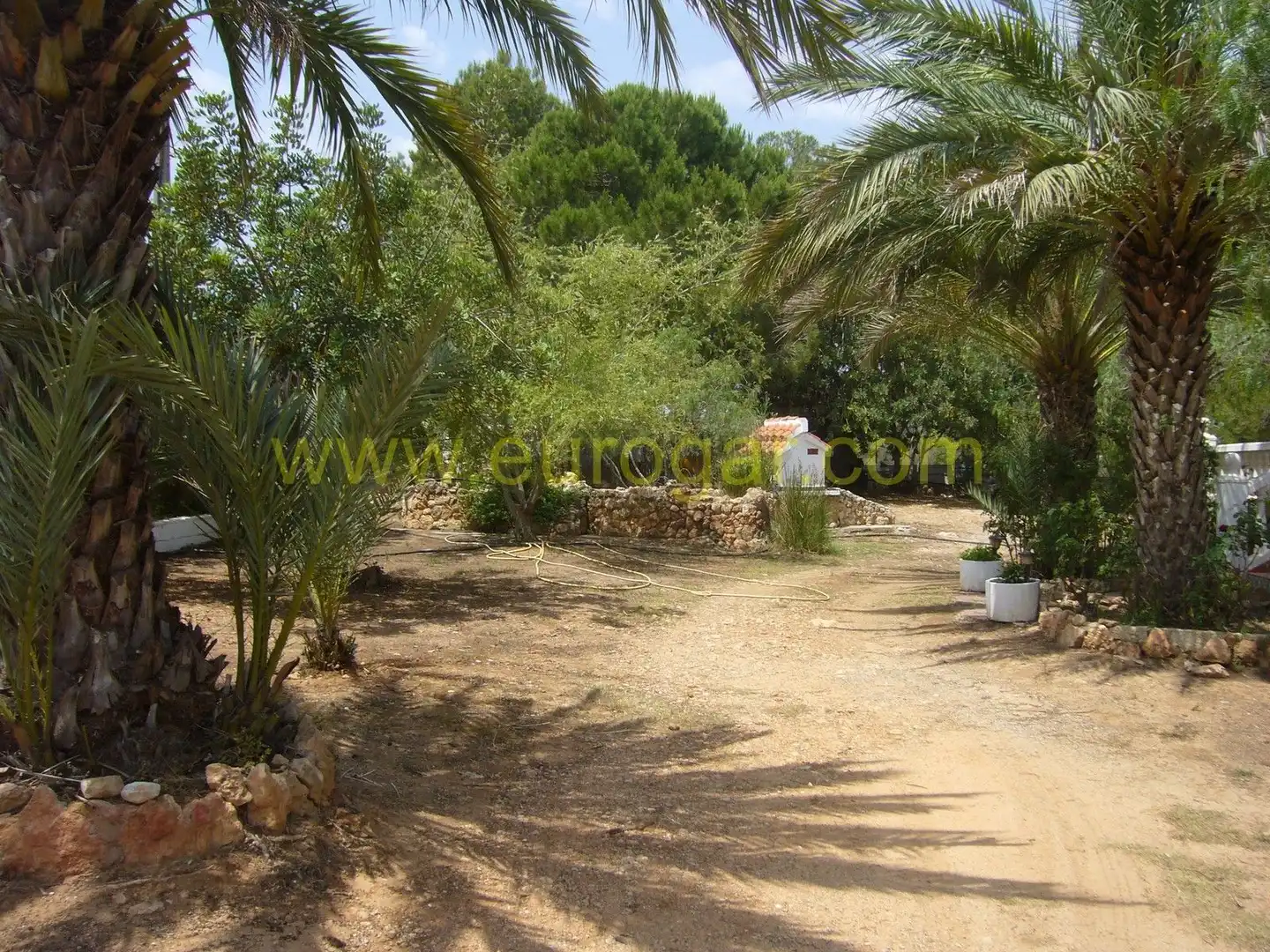 Jardí de Casa o xalet en venda en Chiva amb Jardí privat, Terrassa i Traster