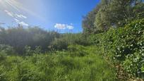 Land for sale in Sotogrande
